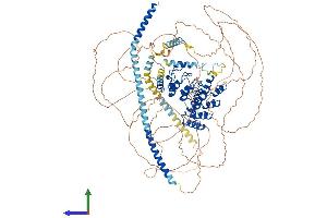 Protein Structure (PS) image for Myosin Phosphatase, Target Subunit 1 (PPP1R12A) (AA 1-1029) protein (His tag) (ABIN7565008)