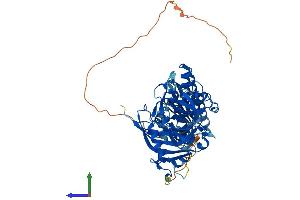 AlphaFold protein structure predicition of Mouse Recombinant Parp2 Protein, UniprotID O88554