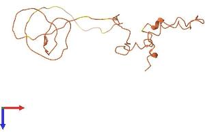 KRTAP5-7 Protein (AA 1-165) (His tag)