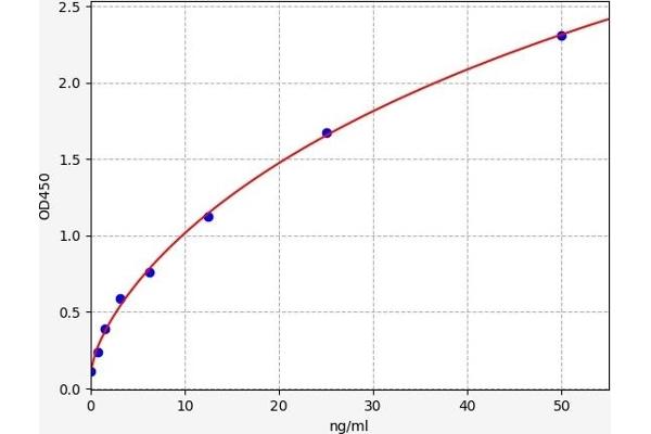 NUDT1 ELISA 试剂盒
