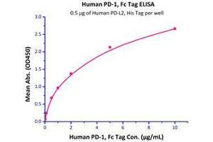 Binding Studies (Bind) image for Programmed Cell Death 1 (PDCD1) (AA 25-167) (Active) protein (Fc Tag) (ABIN2181607)