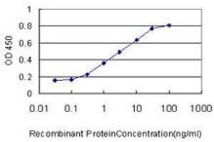 ELISA image for anti-Acylphosphatase 1, Erythrocyte (Common) Type (Acyp1) (AA 1-99) antibody (ABIN559778)