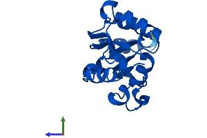 Protein Structure (PS) image for Nucleoside diphosphate kinase B (NME2) (AA 1-152) protein (His tag) (ABIN7556862)
