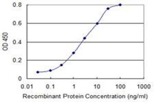 Detection limit for recombinant GST tagged ISG20 is 0. (ISG20 抗体  (AA 1-181))