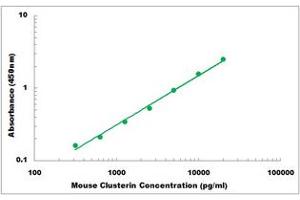 Representative Standard Curve (Clusterin ELISA 试剂盒)