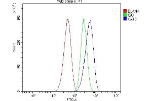 Flow Cytometry analysis of CACO-2 cells using anti-Carbonic Anhydrase 13/CA13 antibody (ABIN7603164).