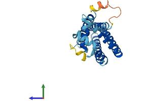 Protein Structure (PS) image for CD81 (CD81) (AA 1-236) protein (His tag) (ABIN7563187)