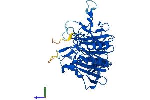 Protein Structure (PS) image for Kelch Domain Containing 3 (KLHDC3) (AA 1-382) protein (His tag) (ABIN7559915)