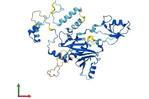 Protein Structure (PS) image for Small Nuclear RNA Activating Complex, Polypeptide 3, 50kDa (SNAPC3) (AA 1-407) protein (His tag) (ABIN7560909)