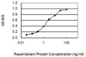 Detection limit for recombinant GST tagged C5orf48 is 0. (TEX43 抗体  (AA 1-134))