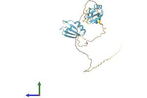 Protein Structure (PS) image for serine/arginine-Rich Splicing Factor 5 (SRSF5) (AA 1-272) protein (His tag) (ABIN7546443)