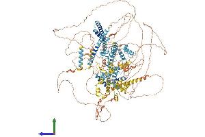 Protein Structure (PS) image for Small Nuclear RNA Activating Complex, Polypeptide 4, 190kDa (SNAPC4) (AA 1-1333) protein (His tag) (ABIN7564407)