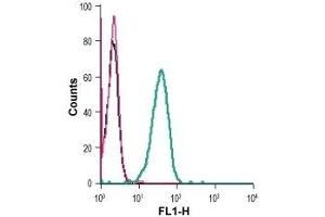 Flow Cytometry (FACS) image for anti-Potassium Intermediate/small Conductance Calcium-Activated Channel, Subfamily N, Member 4 (KCNN4) (Extracellular) antibody (FITC) (ABIN7043466)