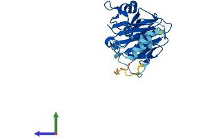 Protein Structure (PS) image for SplA/ryanodine Receptor Domain and SOCS Box Containing 4 (SPSB4) (AA 1-273) protein (His tag) (ABIN7546309)