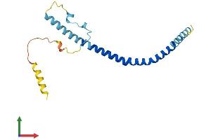 AlphaFold protein structure predicition of Mouse Recombinant Cav2 Protein, UniprotID Q9WVC3