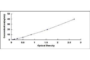 Typical standard curve (FBLN2 ELISA 试剂盒)