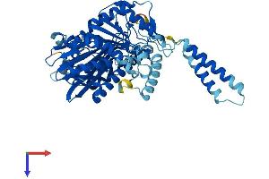 SACM1L Protein (AA 1-587) (His tag)