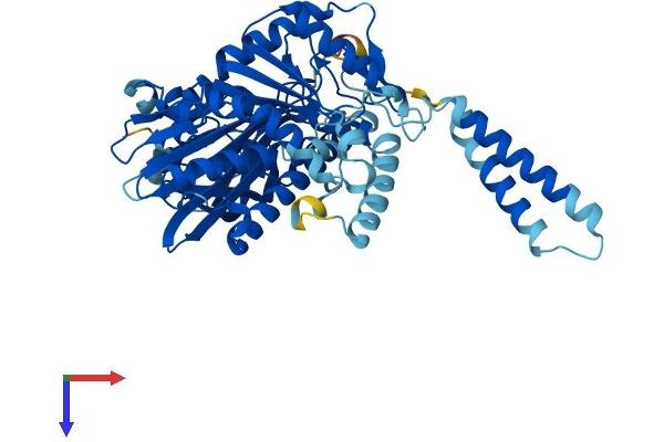 SACM1L Protein (AA 1-587) (His tag)