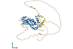 Protein Structure (PS) image for T-Box 20 (TBX20) (AA 1-445) protein (His tag) (ABIN7561453)