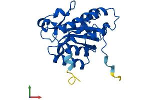 AlphaFold protein structure predicition of Human Recombinant ISOC2 Protein, UniprotID Q96AB3