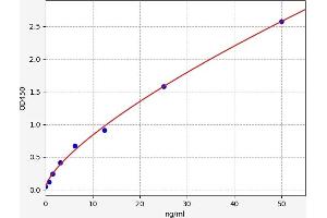 Typical standard curve (ASRGL1 ELISA 试剂盒)