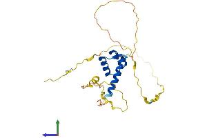 Protein Structure (PS) image for Distal-Less Homeobox 4 (DLX4) (AA 1-240) protein (His tag) (ABIN7556723)