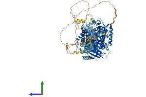 Protein Structure (PS) image for Solute Carrier Family 12 (Potassium-Chloride Transporter) Member 5 (SLC12A5) (AA 1-1139) protein (His tag) (ABIN7555292)