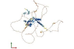 AlphaFold protein structure predicition of Human Recombinant HNF1A Protein, UniprotID P20823