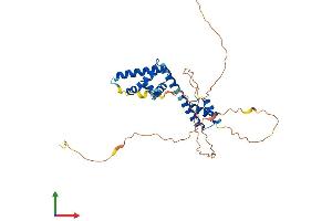 Protein Structure (PS) image for POU Domain, Class 5, Transcription Factor 2 (POU5F2) (AA 1-329) protein (His tag) (ABIN7561215)