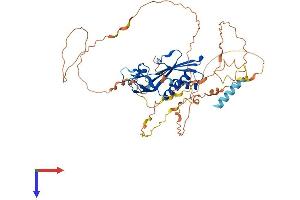 RTP3 Protein (AA 1-474) (His tag)