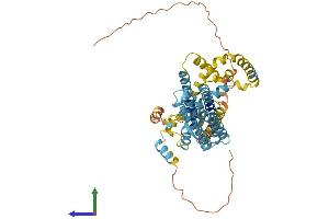 Protein Structure (PS) image for Perilipin 5 (PLIN5) (AA 1-463) protein (His tag) (ABIN7564440)