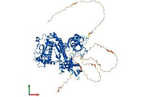 Protein Structure (PS) image for DIS3-Like Exonuclease 2 (DIS3L2) (AA 1-870) protein (His tag) (ABIN7564589)