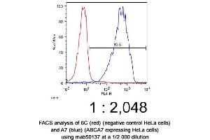 Image no. 2 for anti-ATP-Binding Cassette, Sub-Family A (ABC1), Member 7 (ABCA7) antibody (ABIN363291) (ABCA7 抗体)