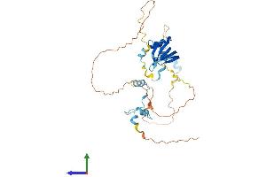 AlphaFold protein structure predicition of Mouse Recombinant Lsm11 Protein, UniprotID Q8BUV6