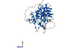 AlphaFold protein structure predicition of Human Recombinant ATG4A Protein, UniprotID Q8WYN0 (ATG4A Protein (AA 1-398) (His tag))