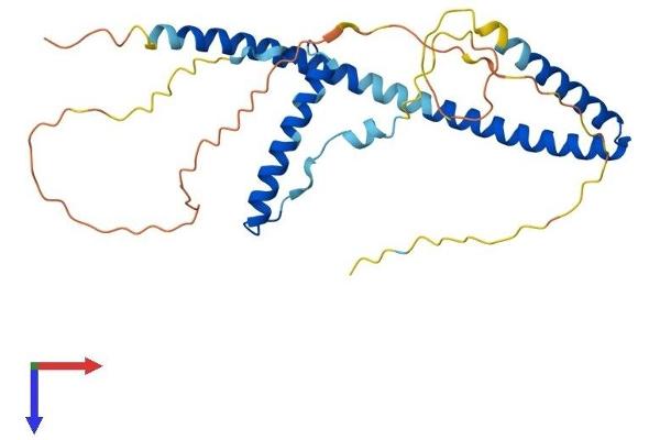 HEXIM2 Protein (AA 1-286) (His tag)