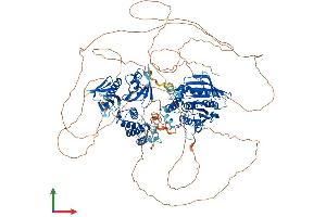 Protein Structure (PS) image for Protein tyrosine Phosphatase, Non-Receptor Type 21 (PTPN21) (AA 1-1174) protein (His tag) (ABIN7555090)