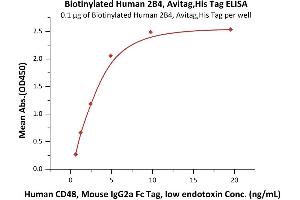 ELISA image for Natural Killer Cell Receptor 2B4 (CD244) (AA 22-221) protein (His tag,AVI tag,Biotin) (ABIN5674581)