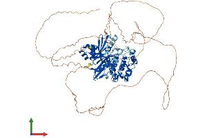 Protein Structure (PS) image for MAP/microtubule Affinity-Regulating Kinase 1 (MARK1) (AA 1-795) protein (His tag) (ABIN7564762)