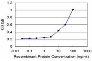 Detection limit for recombinant GST tagged HSPA2 is approximately 3ng/ml as a capture antibody. (HSPA2 抗体  (AA 1-639))