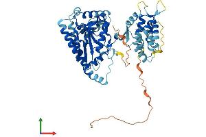 AlphaFold protein structure predicition of Mouse Recombinant Lpcat4 Protein, UniprotID Q6NVG1