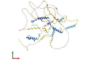 AlphaFold protein structure predicition of Mouse Recombinant Phactr4 Protein, UniprotID Q501J7 (PHACTR4 Protein (AA 1-694) (His tag))