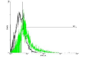 Flow Cytometry (FACS) image for anti-Prostaglandin E Receptor 3 (Subtype EP3) (PTGER3) (AA 1-388) antibody (ABIN519448)