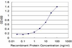 Detection limit for recombinant GST tagged SNAP29 is approximately 0. (SNAP29 抗体  (AA 1-258))