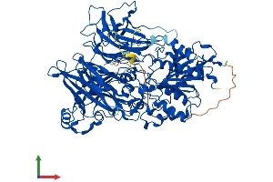 Protein Structure (PS) image for Dipeptidyl-Peptidase 8 (DPP8) (AA 1-892) protein (His tag) (ABIN7564296)