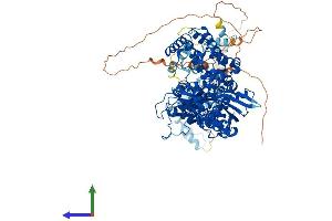 Protein Structure (PS) image for Recombination Activating Gene 1 (RAG1) (AA 1-1043) protein (His tag) (ABIN7555139)