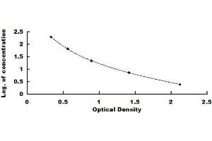 ELISA image for Gastric Intrinsic Factor (Vitamin B Synthesis) (GIF) ELISA Kit (ABIN1570053) (Intrinsic Factor ELISA 试剂盒)