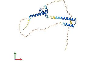 Protein Structure (PS) image for Helt BHLH Transcription Factor (HELT) (AA 1-240) protein (His tag) (ABIN7558287)