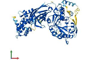 Protein Structure (PS) image for Phospholipase C zeta 1 (PLCz1) (AA 1-647) protein (His tag) (ABIN7564672)