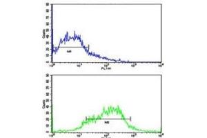 Flow cytometric analysis of HepG2 cells using EphA1 antibody (green) compared to a negative control (blue). (EPHA1 抗体  (AA 29-60))